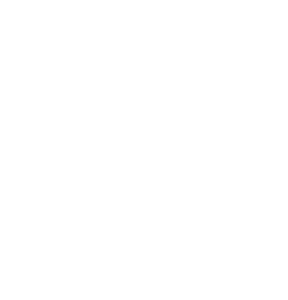 Logo 40ans MNA-blanc