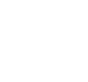 logo bk blanc